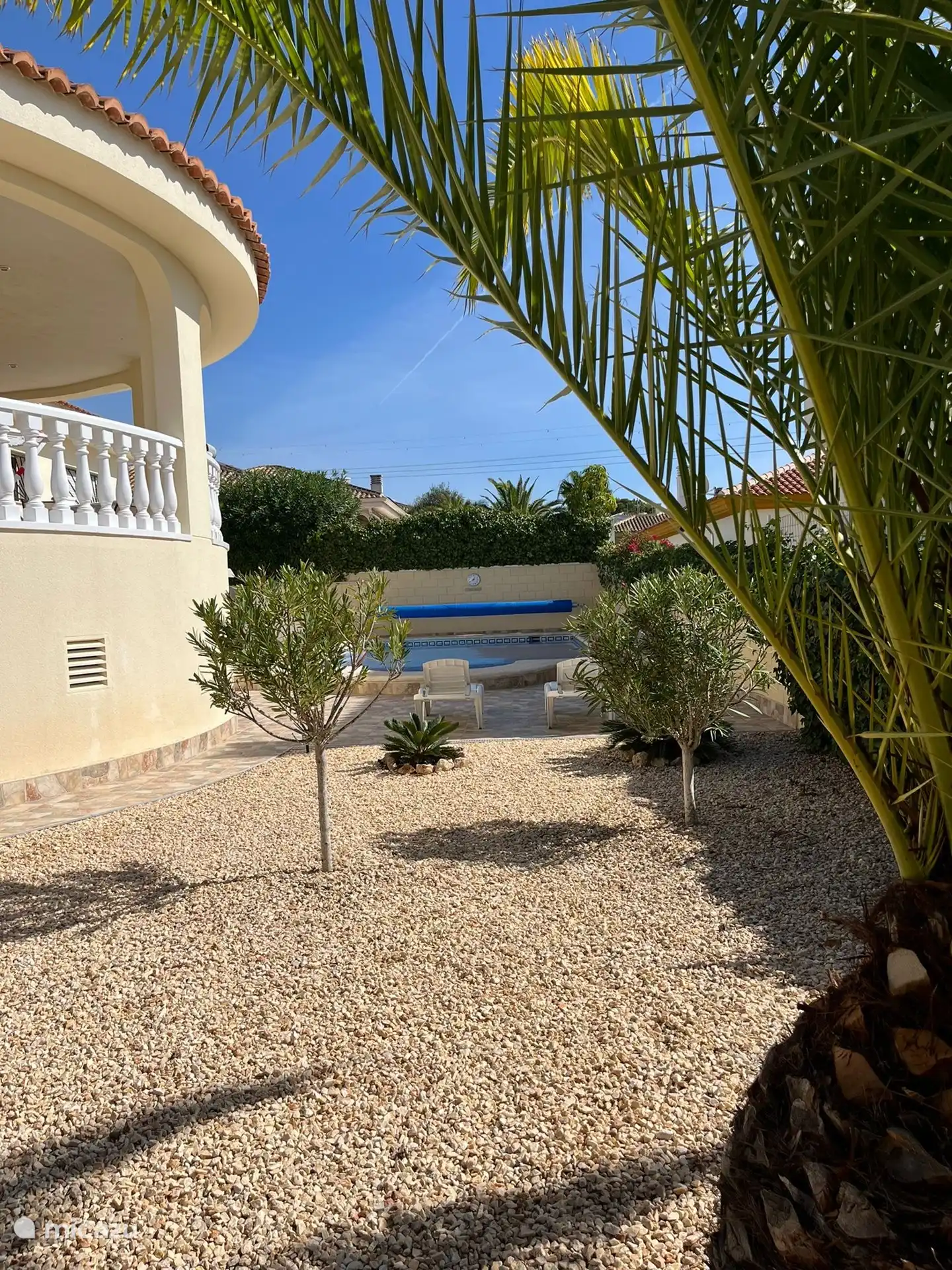 Vista del jardín hacia la piscina