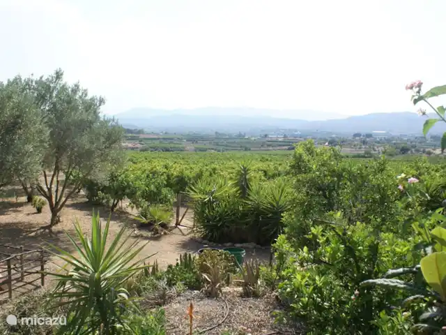 Casa Amigo en España, Valencia, Pedralba  - casa vacacional Vista del valle desde el jardín.
