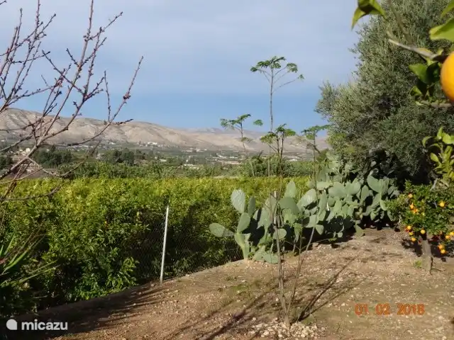 Casa Amigo en España, Valencia, Pedralba  - casa vacacional Hermosa vista desde la terraza y el jardín.