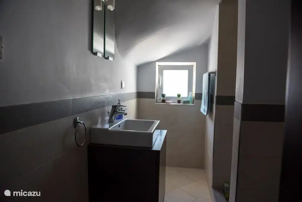 Salle de bain au rez-de-chaussée.