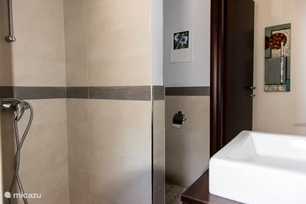 Toilette/salle de bain au rez-de-chaussée.