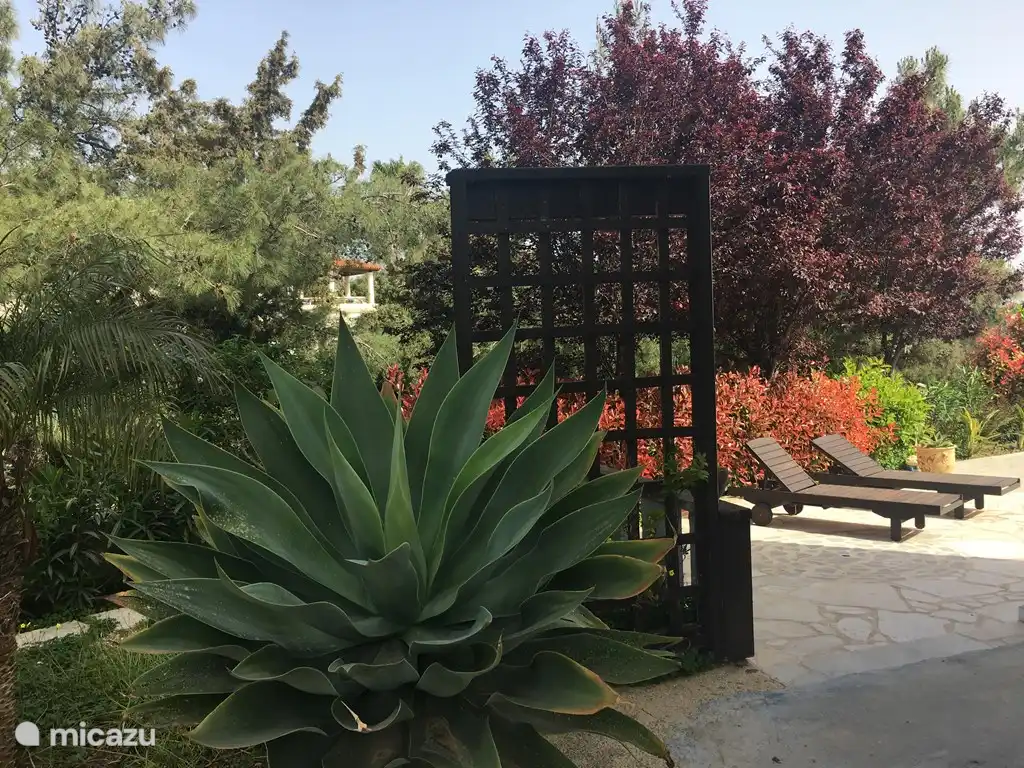 Belles couleurs dans le jardin.