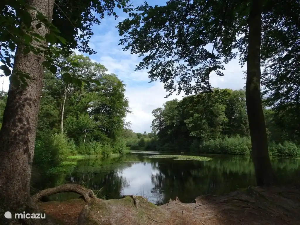 The Springs Nature Reserve