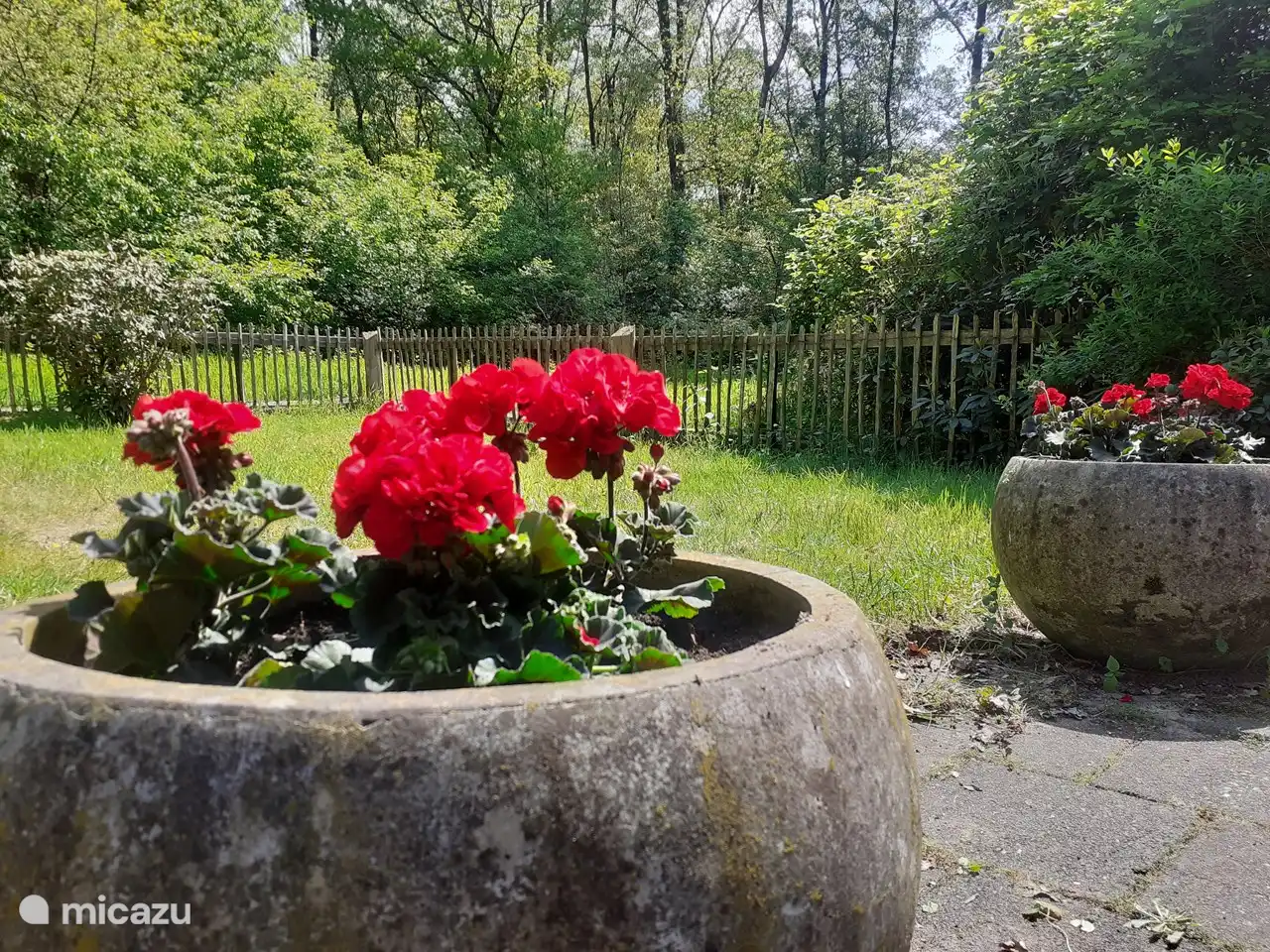 Planters always kept up to date