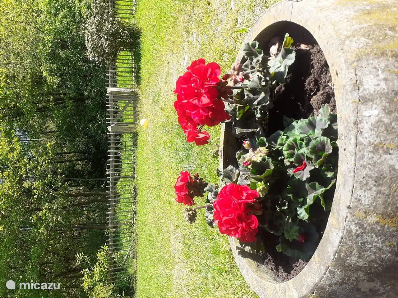 garden at the back of nature reserve