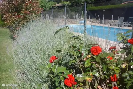 Vakantiehuis Frankrijk, Vendée, Loge-Fougereuse gîte / cottage Maison La Chenille Zwembad