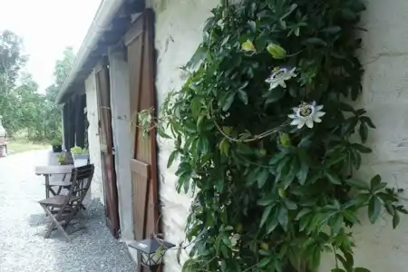 Vakantiehuis Frankrijk, Vendée, Loge-Fougereuse gîte / cottage Maison La Chenille Buiten