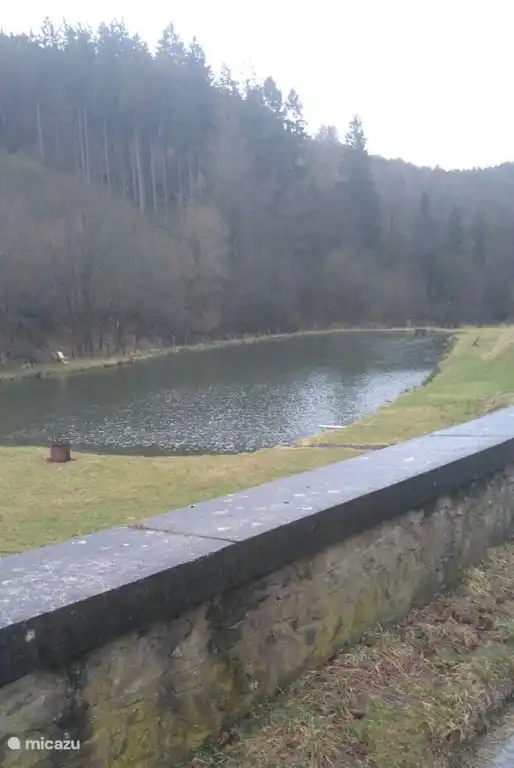Gite Hutte La Buse En Bois In Gouvy Ardennen Belgien Mieten Micazu