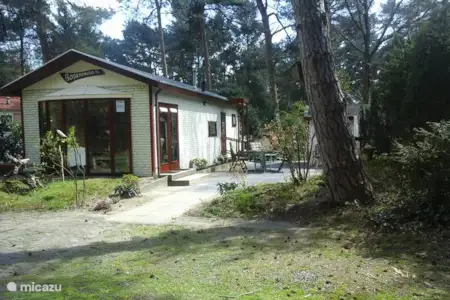 Vakantiehuis Nederland, Drenthe, Dieverbrug chalet Chalet De Bosanemoon Vakantiehuis Nederland, Drenthe, Dieverbrug chalet Chalet De Bosanemoon