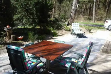 Vakantiehuis Nederland, Drenthe, Dieverbrug chalet Chalet De Bosanemoon terras