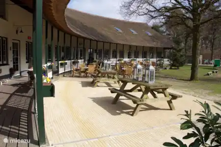 Vakantiehuis Nederland, Drenthe, Dieverbrug chalet Chalet De Bosanemoon Hoofdgebouw