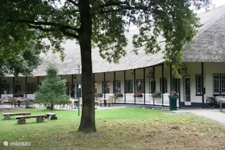Vakantiehuis Nederland, Drenthe, Dieverbrug chalet Chalet De Bosanemoon Hoofdgebouw