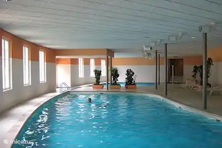 Vakantiehuis Nederland, Drenthe, Dieverbrug chalet Chalet De Bosanemoon Zwembad