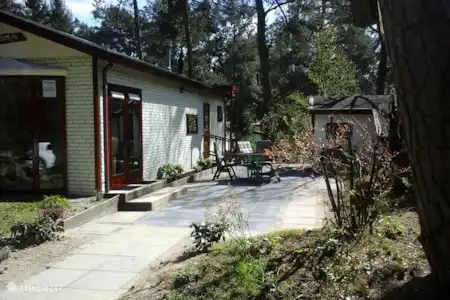 Vakantiehuis Nederland, Drenthe, Dieverbrug chalet Chalet De Bosanemoon chalet