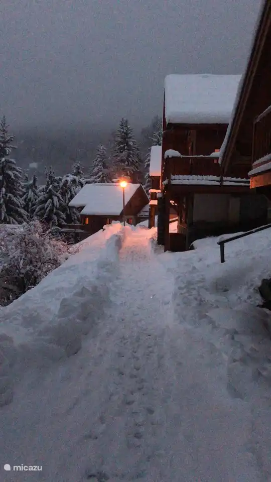 Abendstimmung im Park