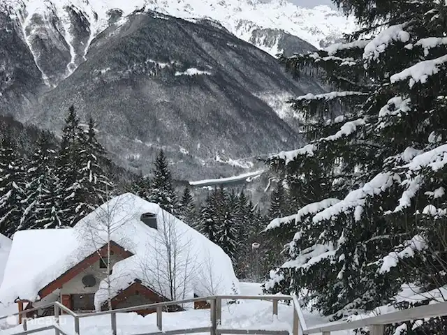 Location de Vacances France, Isère, Oz-en-Oisans, chalet - Chal'Oz 4**** Grand escalier menant aux chalets, oui il y a des escaliers à faire