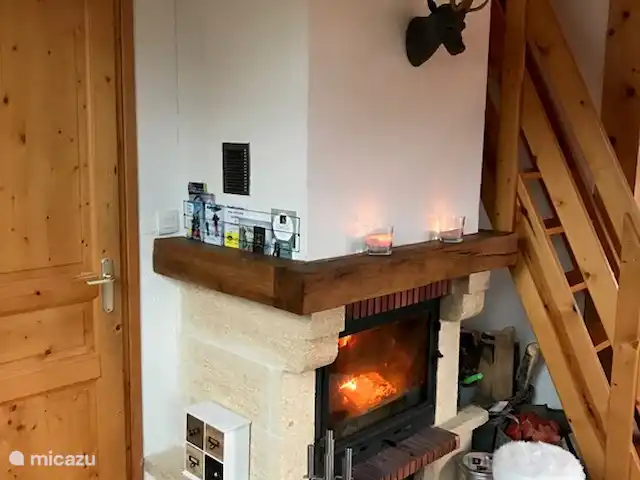 Location de Vacances France, Isère, Oz-en-Oisans, chalet - Chal'Oz 4**** Foyer ouvert