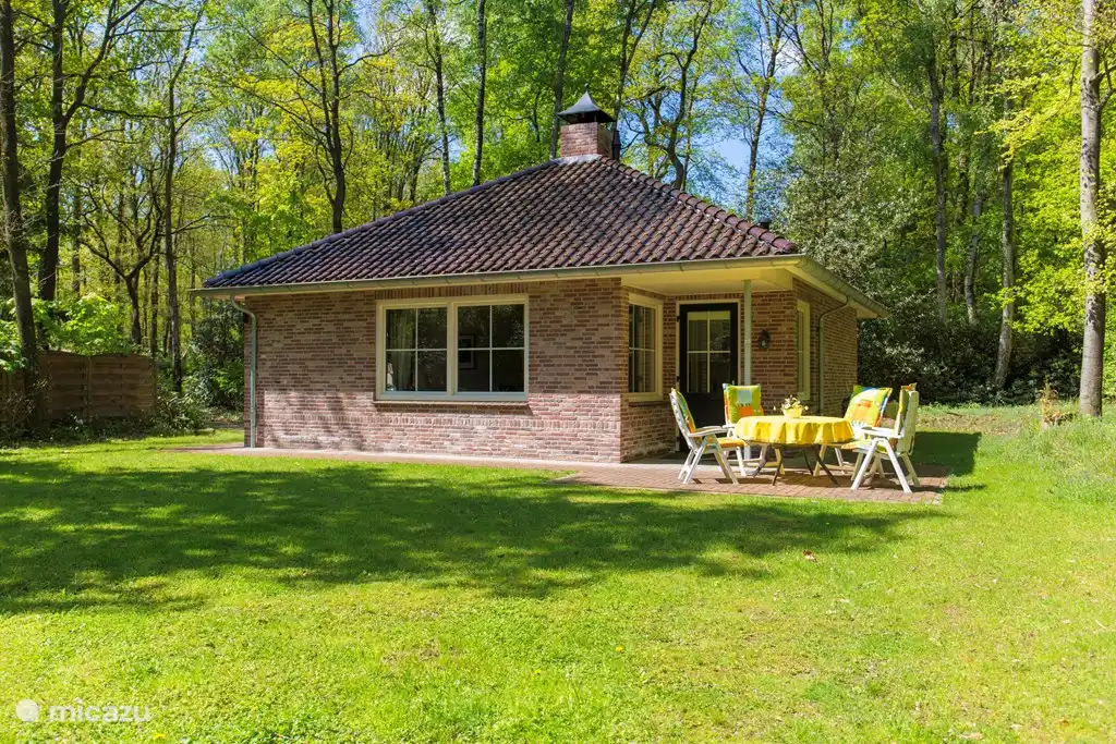 Boszicht in Niederlande, Overijssel, Ootmarsum - bungalow