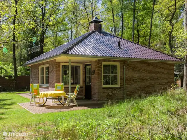 La vue sur la forêt | Pays-Bas, Overijssel, Ootmarsum - bungalow Vue sur la forêt