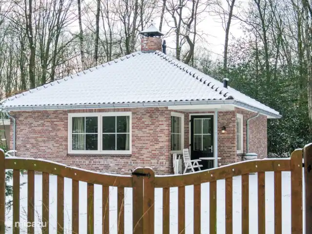 La vue sur la forêt | Pays-Bas, Overijssel, Ootmarsum - bungalow Vue sur la forêt