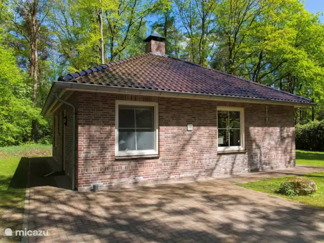 La vue sur la forêt | Pays-Bas, Overijssel, Ootmarsum - bungalow Vue sur la forêt