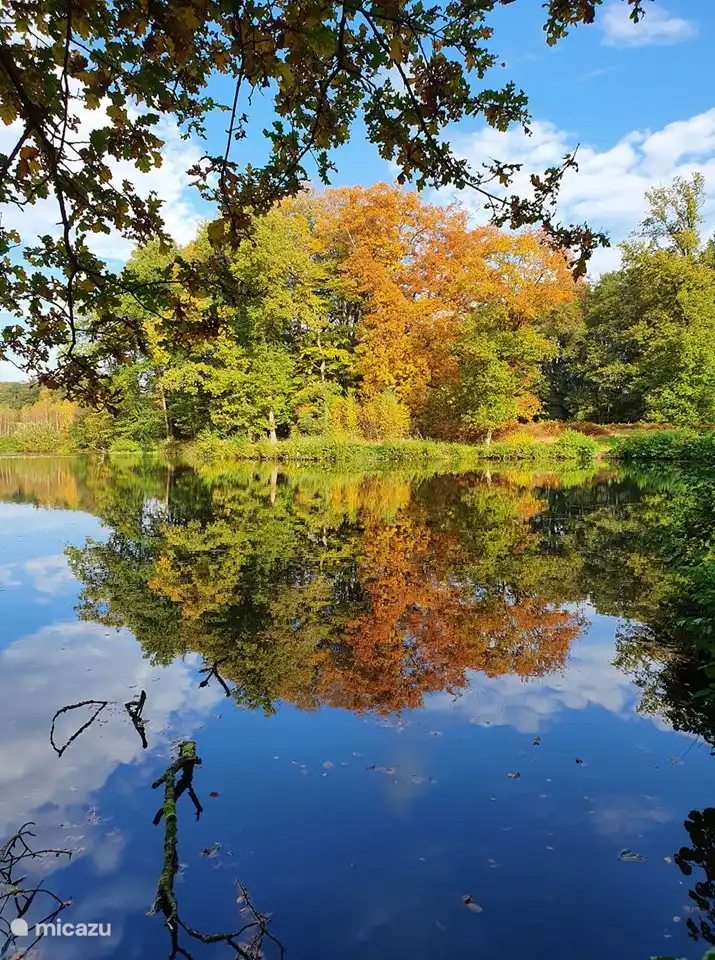 „De Bronnen“ im Naturschutzgebiet Springendal