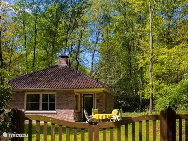La vue sur la forêt | Pays-Bas, Overijssel, Ootmarsum - bungalow Vue sur la forêt