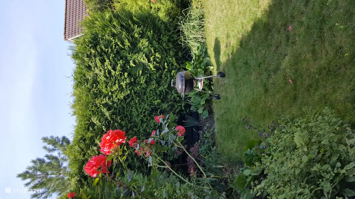 Ferienhaus Baltus in Niederlande, Nordholland, Sint Maarten - Bungalow