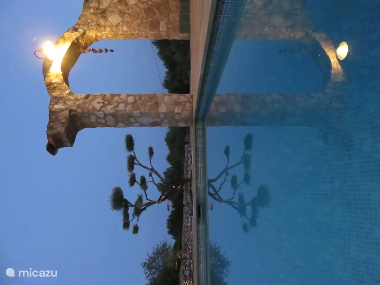 Jard&#237;n con luz de la tarde.