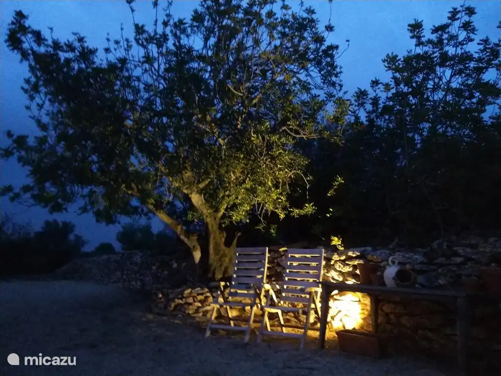 Jard&#237;n con luz de la tarde.