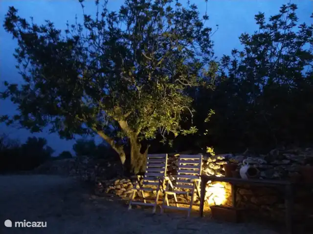 Finca Mater Vinaros | Espagne, Costa del Azahar, Vinaroz - villa Jardin avec lumière du soir.