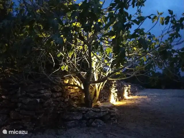 Finca Mater Vinaros | Espagne, Costa del Azahar, Vinaroz - villa Jardin avec lumière du soir.