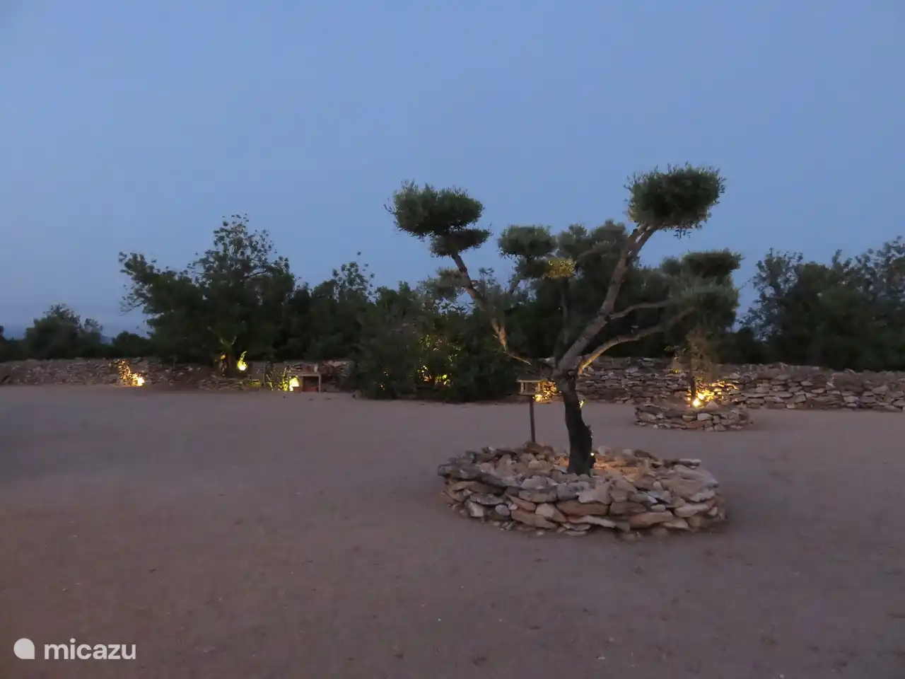 Jard&#237;n con luz de la tarde.