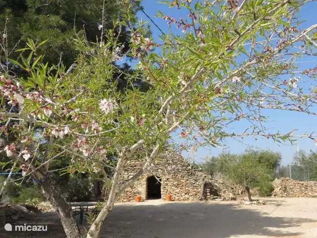 Finca Mater Vinaros | Espagne, Costa del Azahar, Vinaroz - villa ambiance