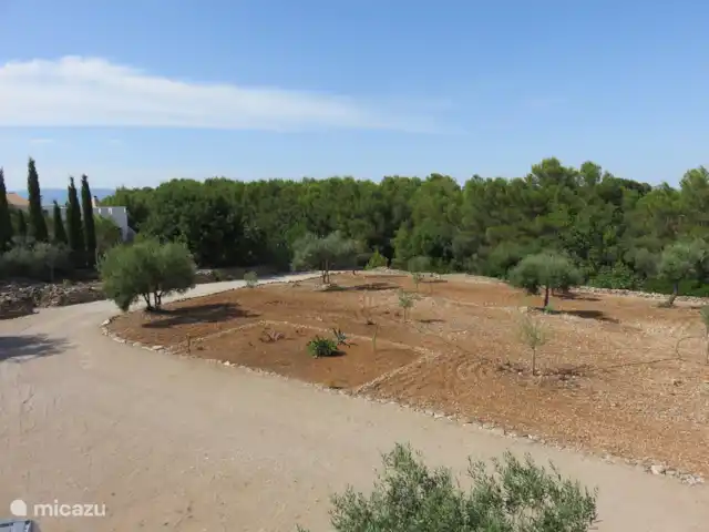 Finca Mater Vinaros | Espagne, Costa del Azahar, Vinaroz - villa Jardin