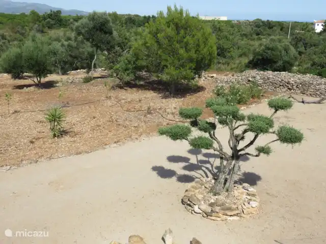 Finca Mater Vinaros | Espagne, Costa del Azahar, Vinaroz - villa Jardin