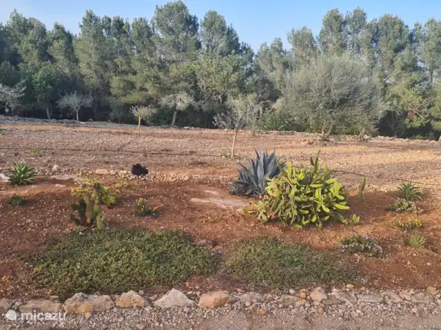 Finca Mater Vinaros | Espagne, Costa del Azahar, Vinaroz - villa Jardin