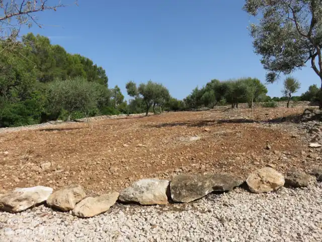 Finca Mater Vinaros | Espagne, Costa del Azahar, Vinaroz - villa Jardin