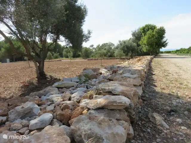 Finca Mater Vinaros | Espagne, Costa del Azahar, Vinaroz - villa Jardin