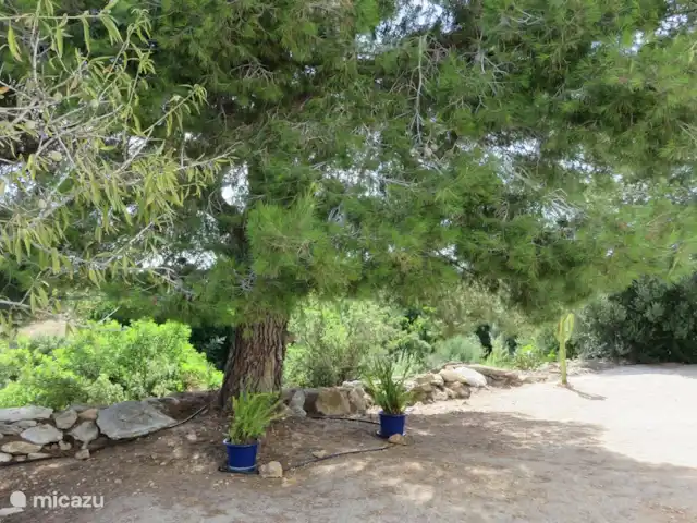 Finca Mater Vinaros | Espagne, Costa del Azahar, Vinaroz - villa Jardin