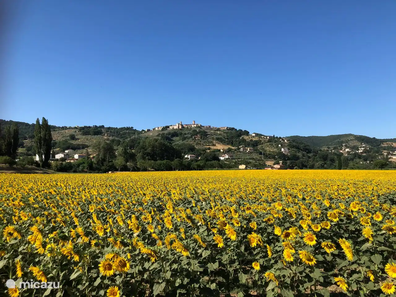 Bettona seen from the valley