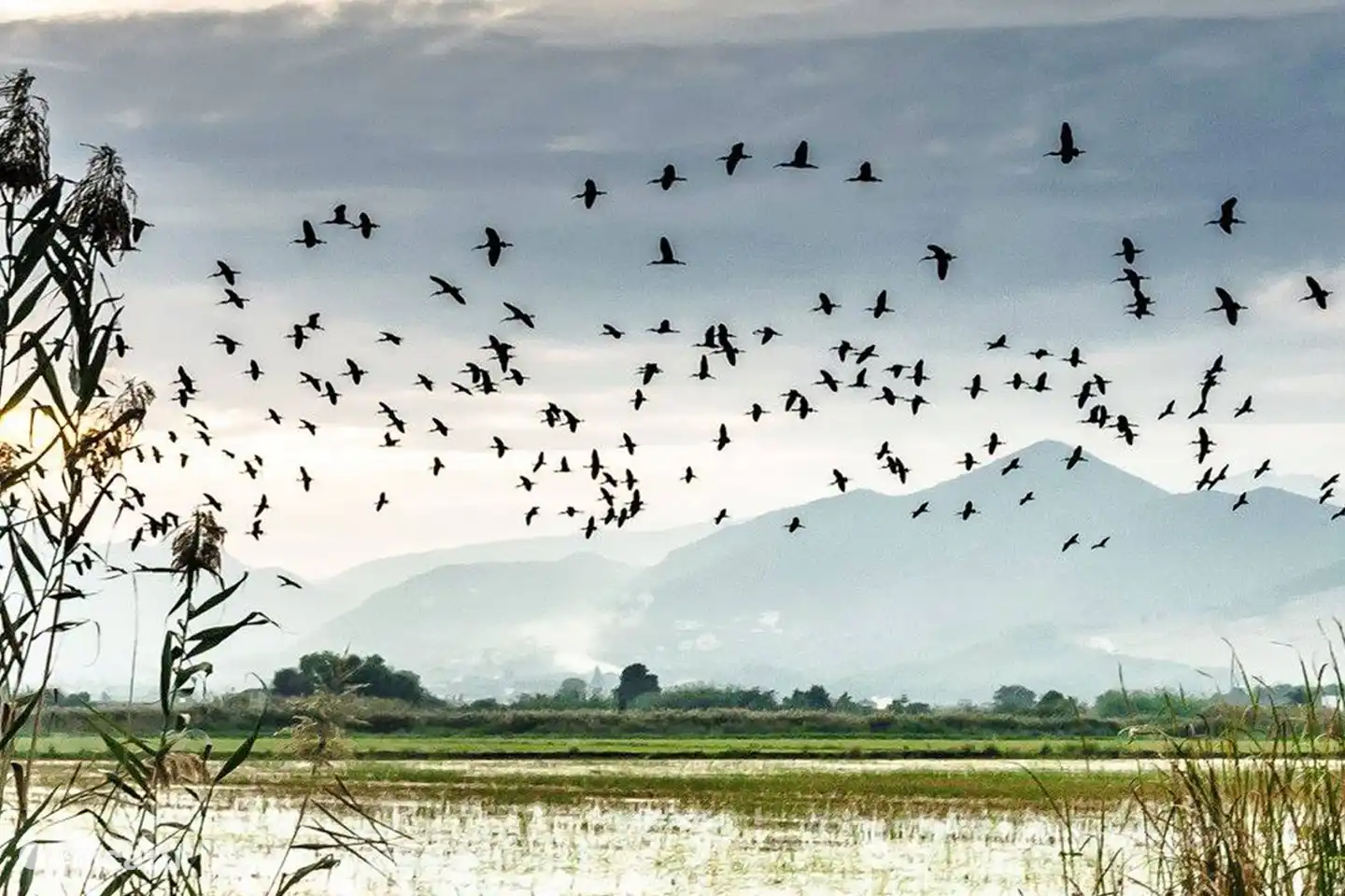 Wir haben ein wunderschönes Natur- und Wandergebiet vor unserer Haustür