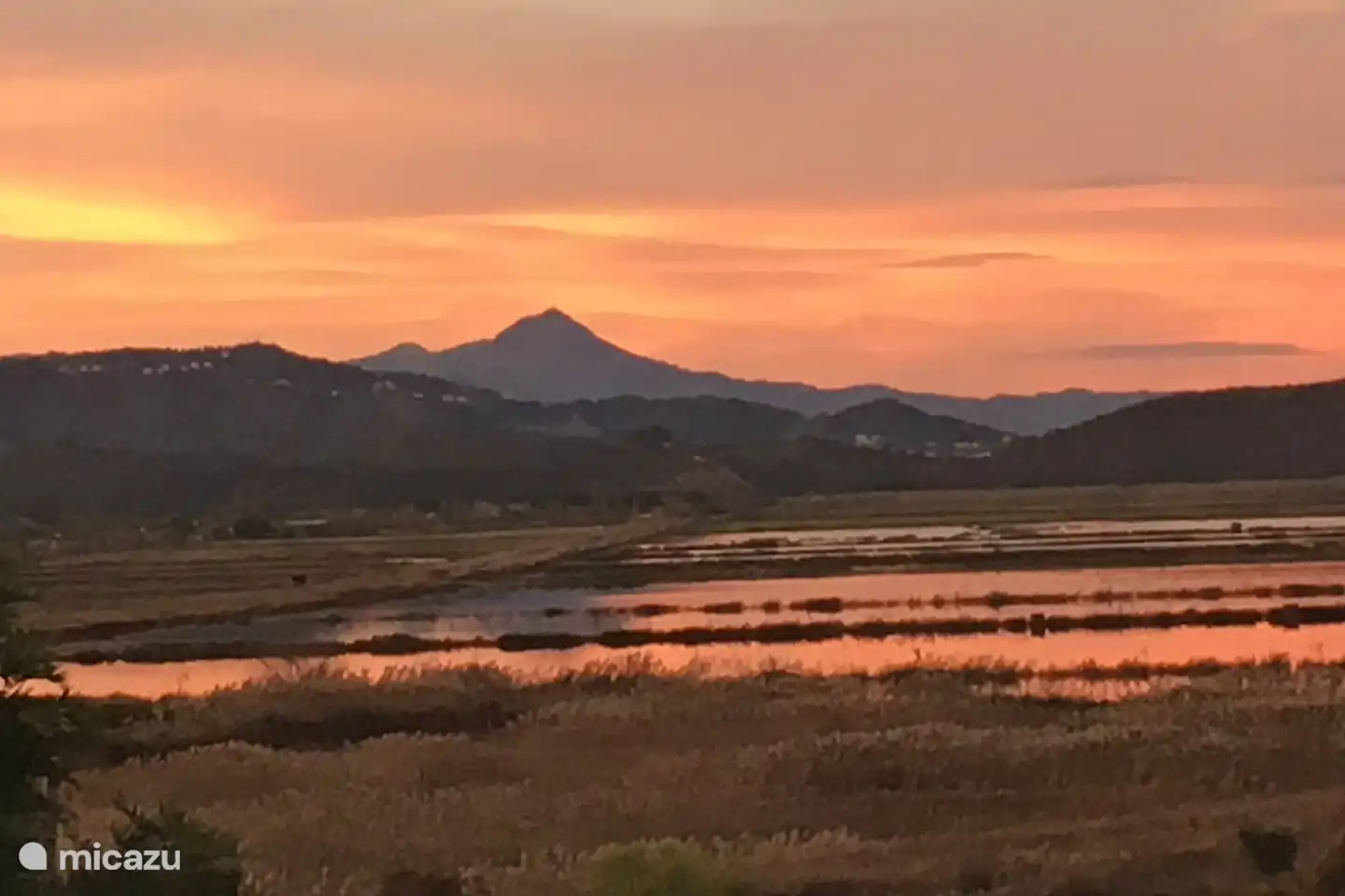 Die Reisfelder bei Sonnenuntergang.