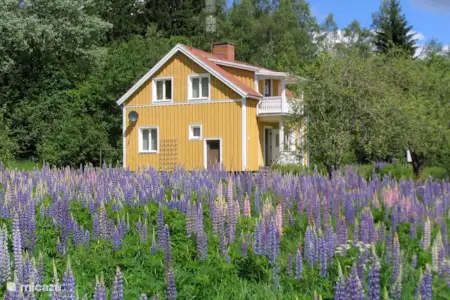Vakantiehuis Zweden, Värmland, Munkerud vakantiehuis Gele Huis Vakantiehuis Zweden, Värmland, Munkerud vakantiehuis Gele Huis