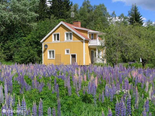 Holiday home in Sweden, Värmland, Gers Today - holiday house Yellow House
