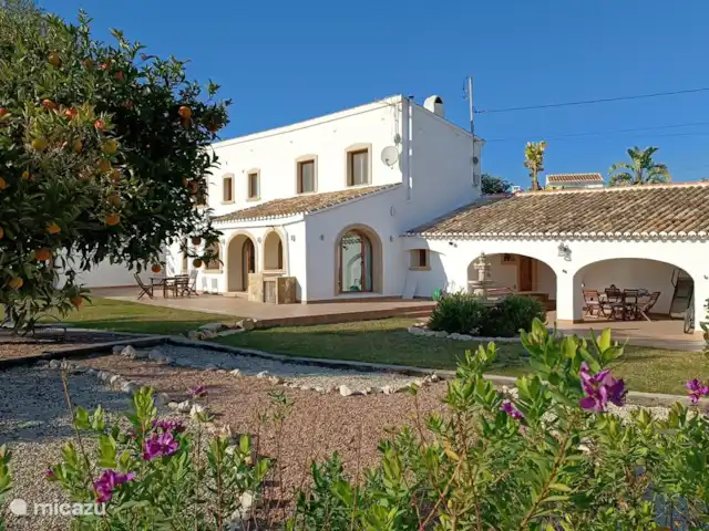 Reina del Mar huren in Spanje, Costa Blanca, Jávea - villa winteraanzicht woning - met sinaasappels in de bomen en bloemen in de bloei