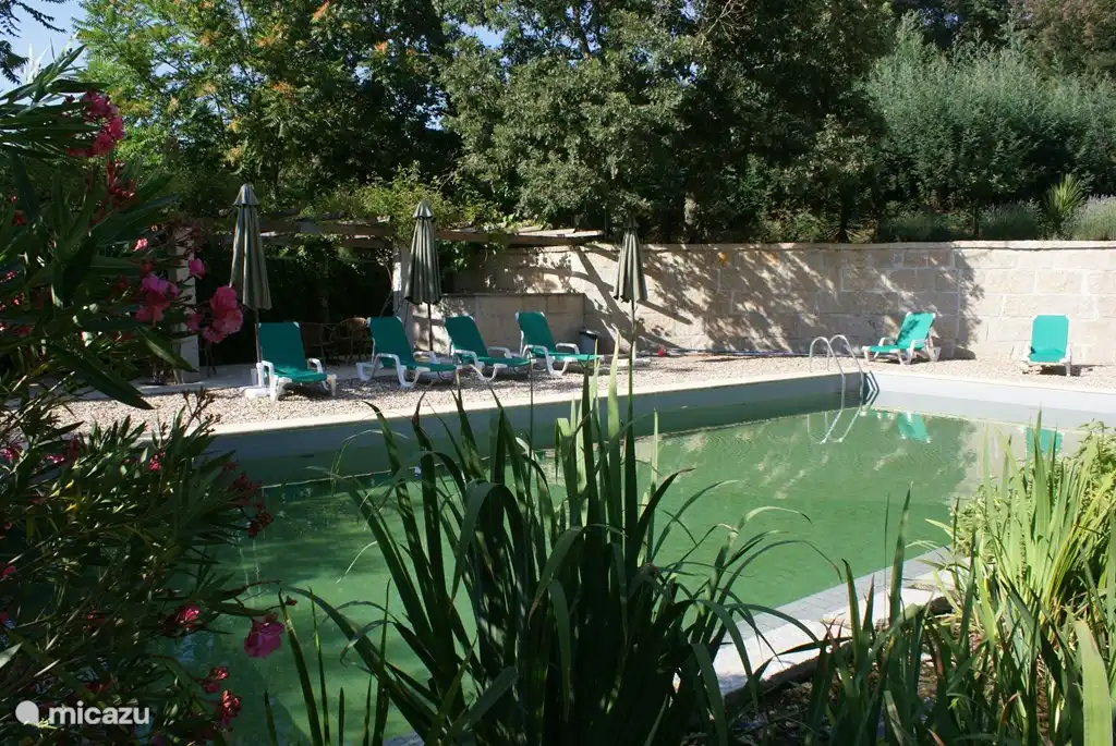 Bij het zwembad is een zonneterras met zelfbedieningsbar