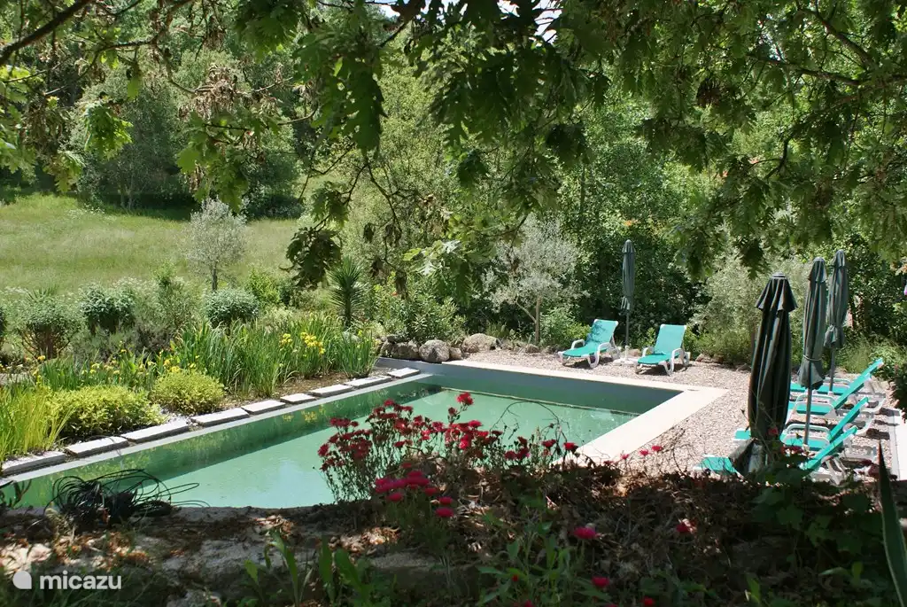 Onze trots: een groot ecologisch zwembad zonder chloor, zout of andere chemicaliën.