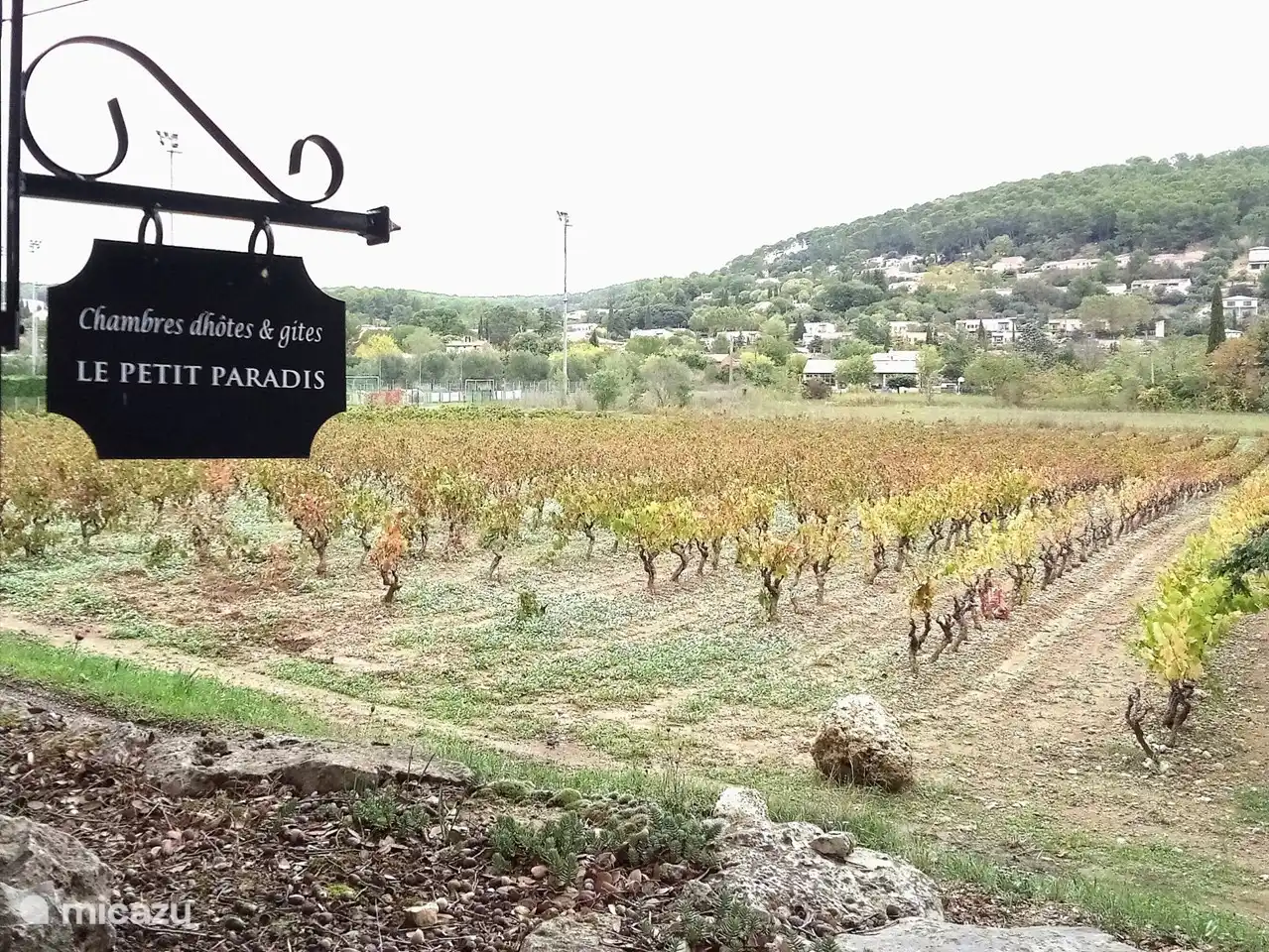 Le Petit Paradis et ses vignes