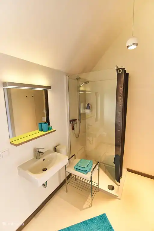 Salle de bain en suite